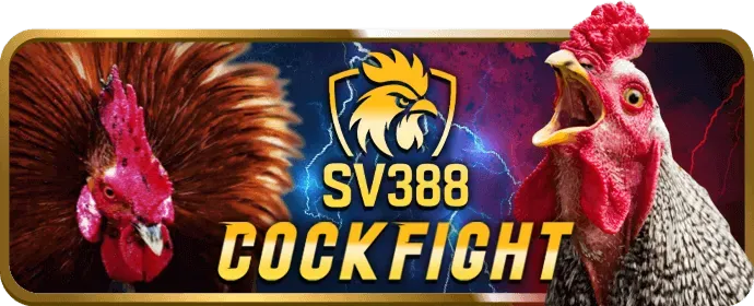 Quản lý tài khoản riêng e2betvip login